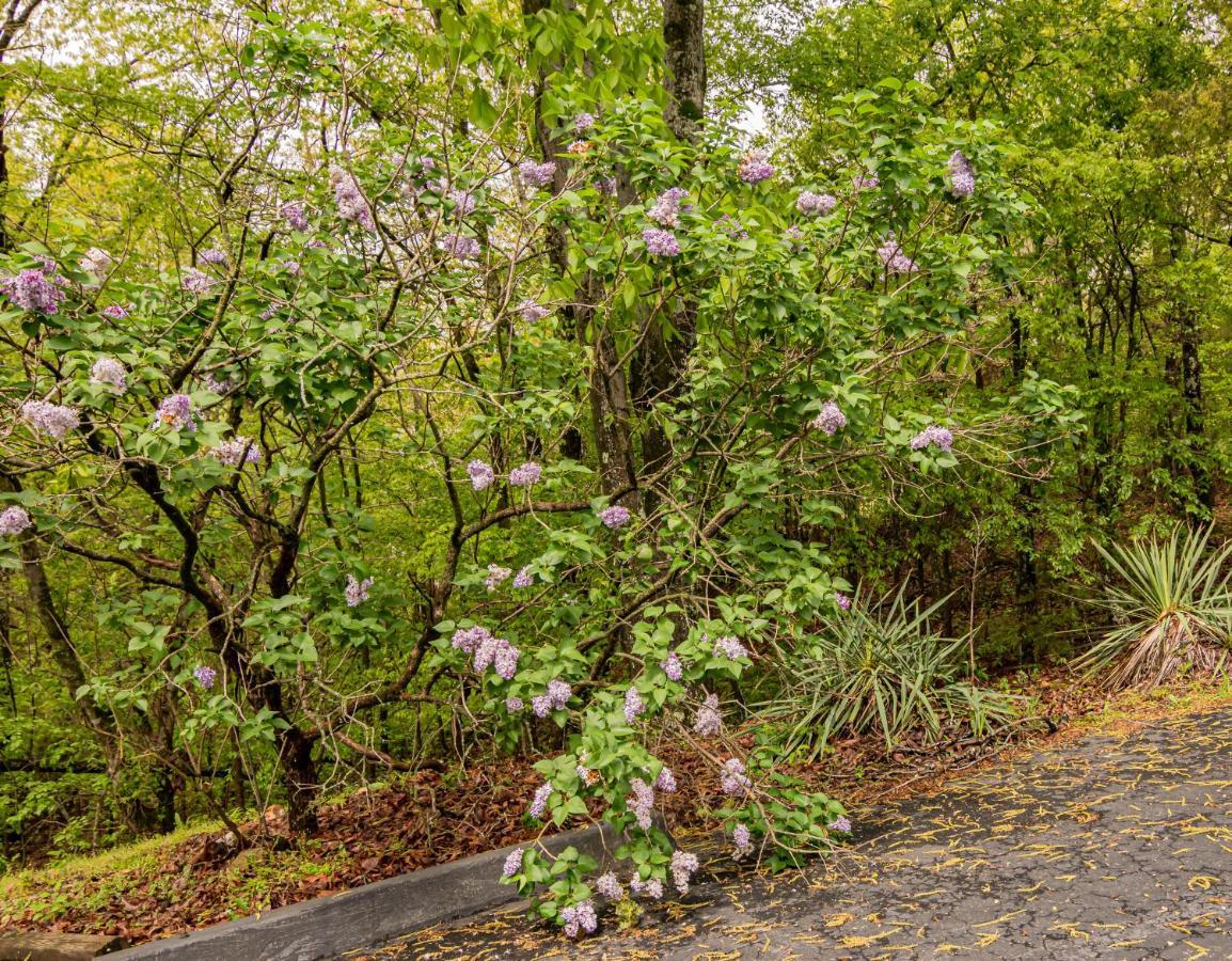 Мотель Autumn Creek Branson Indian Point Экстерьер фото